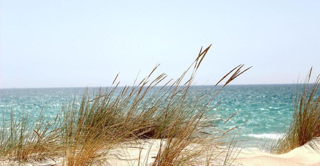 Mhvacances Louent Plusieurs Mobilhomes Dans Camping 4 Etoiles A 200M De La Plage Et Cure Thermale カネ エクステリア 写真